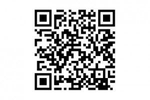 Carousel QR